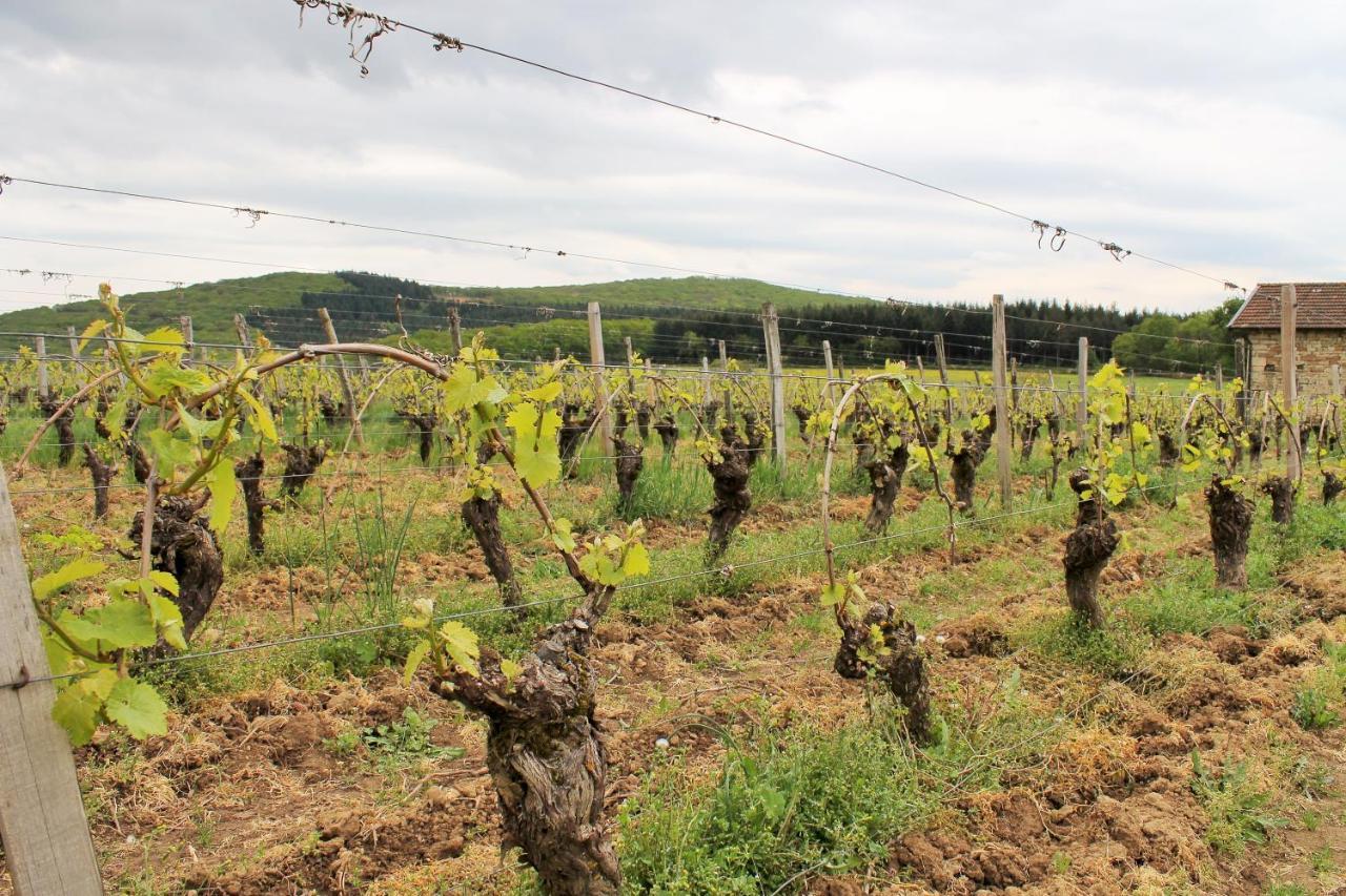 Lugny Domaine Joseph Lafarge Wine Resort Winemaker House La Maison Du Negociant מראה חיצוני תמונה